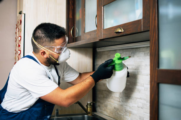 Best Pest Inspection Near Me  in Morrison, IL