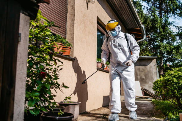 Best Commercial Pest Control Services  in Morrison, IL