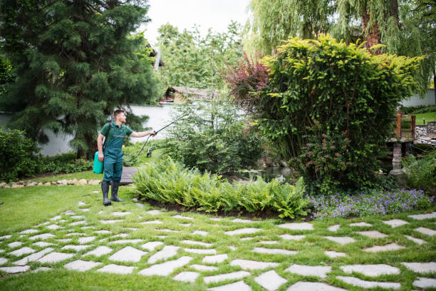 Best Wasp Removal Services  in Morrison, IL