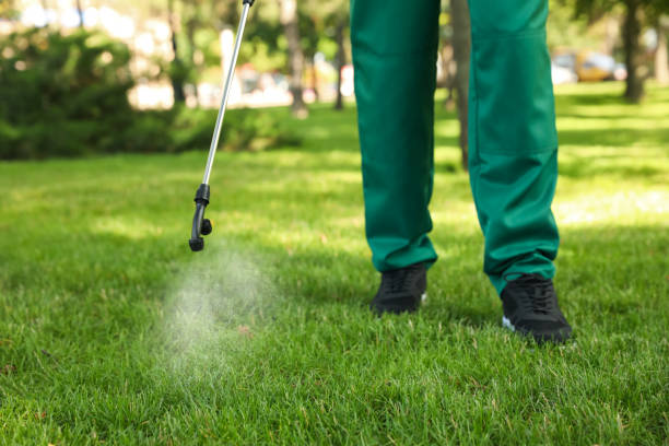 Pest Control Cost in Morrison, IL
