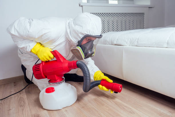 Best Best Pest Control Companies  in Morrison, IL