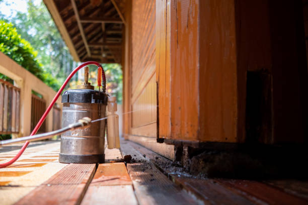 Best Pest Removal Services  in Morrison, IL